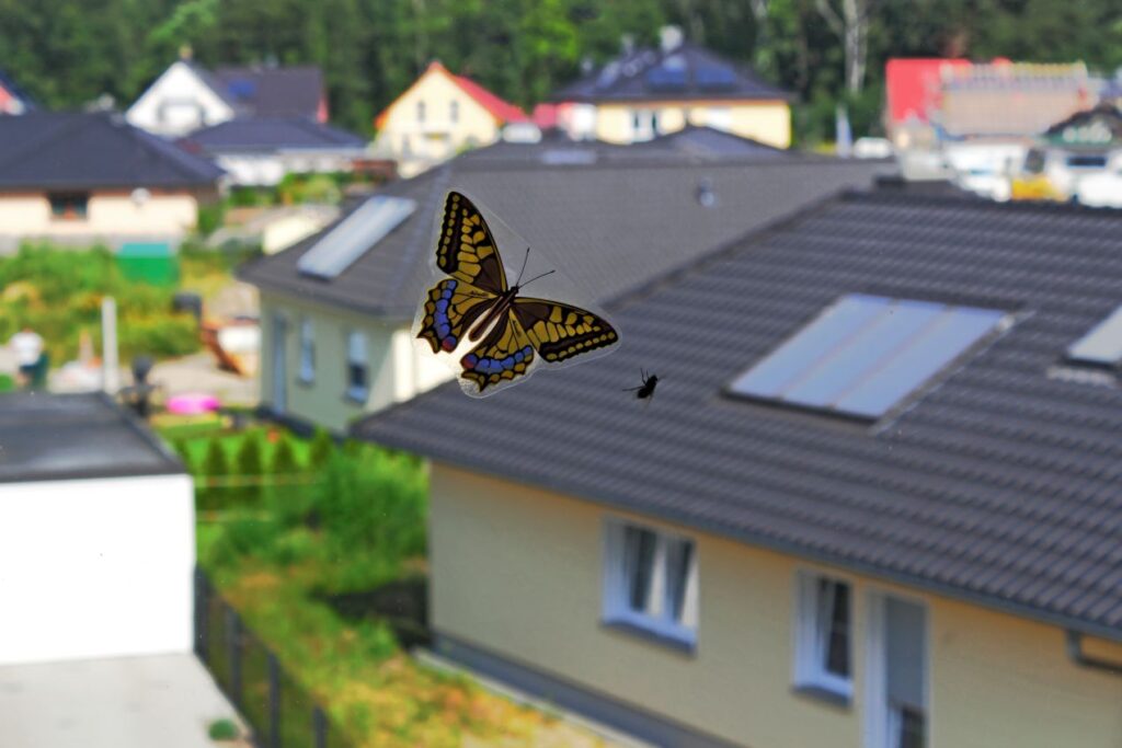 Ein Schmetterling und eine Fliege vor einem Fenster, mit Blick auf Häuser mit Dachfenstern – zeigt den Nutzen von Fliegengitter Dachfenstern für eine angenehme Wohnqualität.